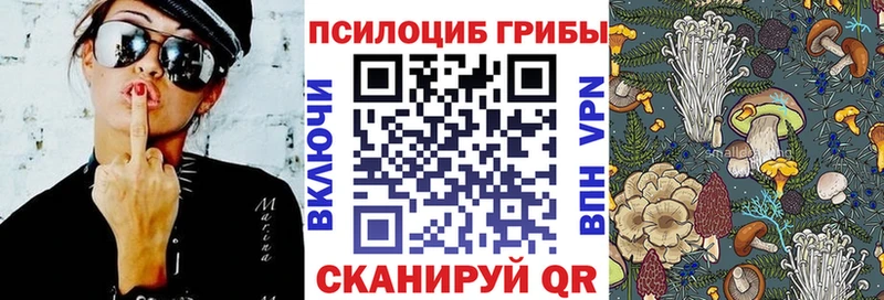 omg   Белая Холуница  Галлюциногенные грибы мухоморы 